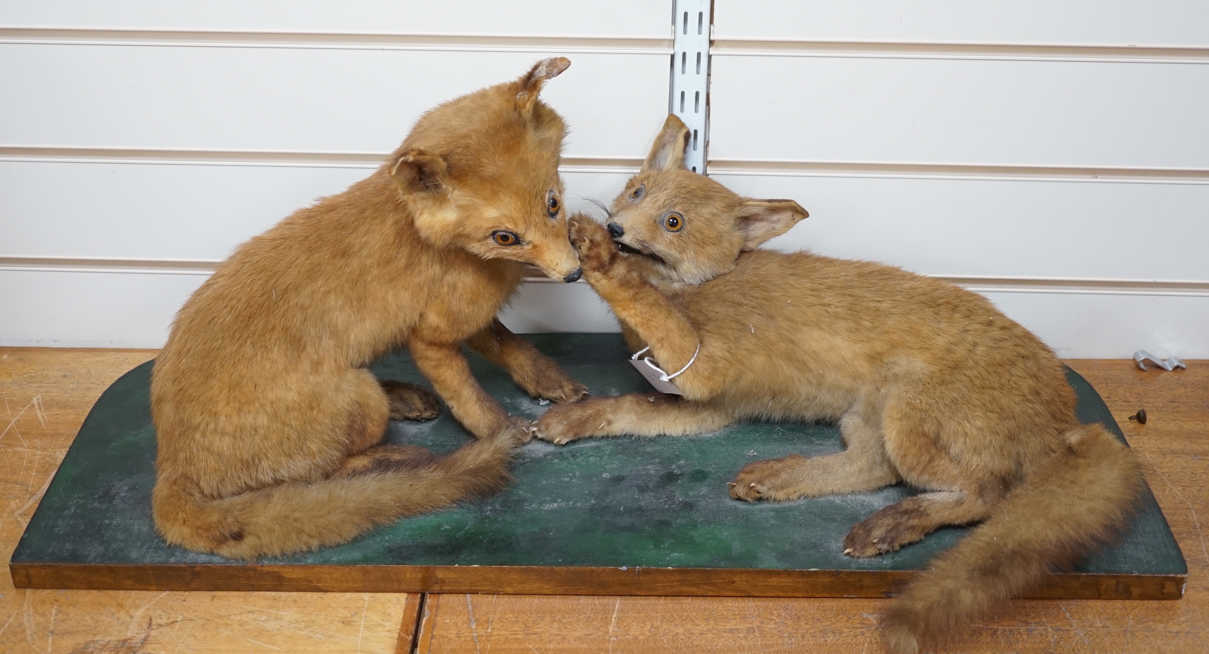 A taxidermy figure group of two fox cubs on plinth, 78cm wide. Condition - poor to fair